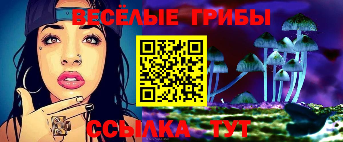 Галлюциногенные грибы мухоморы  Псилоцибиновые грибы Psilocybe  Старая Купавна  закладки  Вход с VPN 